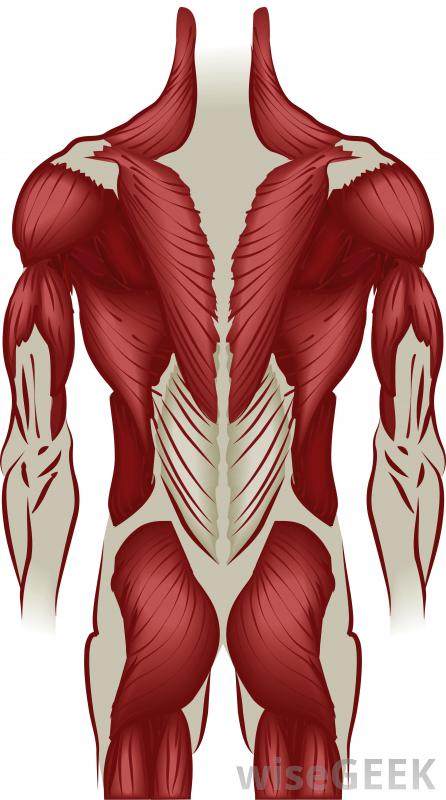 什么是姿势练习(Posture Exercises)？图2