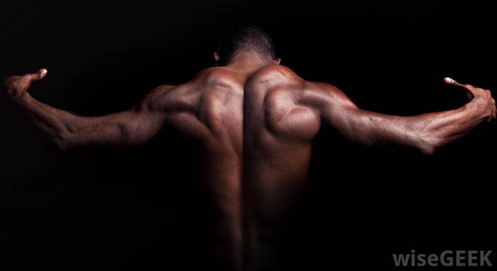我怎样做健美姿势(Perform Bodybuilding Poses)？图2