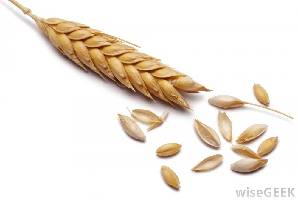 什么是谷物升降机(Grain Elevator)？