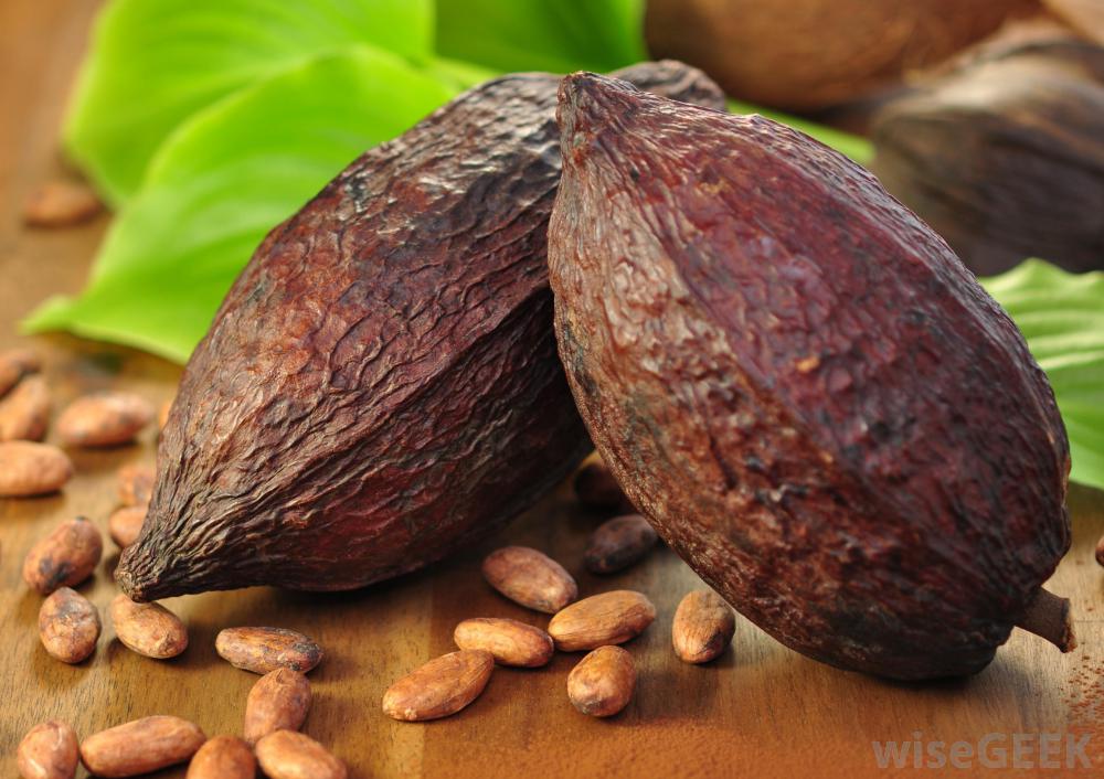 可可脂乳液有什么好处(Benefits of Cocoa Butter Lotion)？