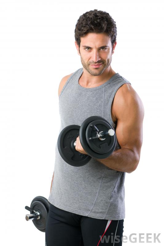 我如何建立瘦肌肉(Build Lean Muscle)？图2